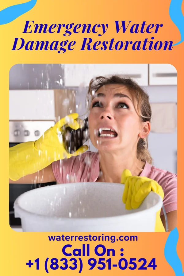 Emergency Water Damage Restoration in North Redington Beach, FL